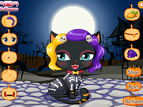 Halloween Cat Dress Up