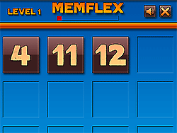 Memflex